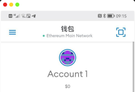 全网首发Metamask小狐狸盗助记词钱包源码附搭建教程